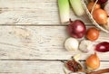 Fresh onion bulbs, leek, garlic, peppers mix and salt on white wooden table, flat lay. Space for text Royalty Free Stock Photo