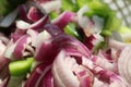 Fresh onion chopped salad pieces with green vegetables. Royalty Free Stock Photo