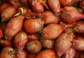 Fresh onion crop on farmer market Royalty Free Stock Photo