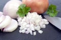 Fresh onion dices Royalty Free Stock Photo