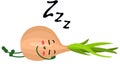 Fresh onion funny mascot sleeping