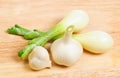 Fresh onion and garlic