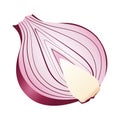 Fresh onion half vegetable healthy icon
