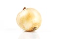 Fresh onion isolated white background Royalty Free Stock Photo