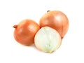Fresh Onion isolated on white background Royalty Free Stock Photo