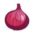 Fresh onion, ripe and organic seasoning icon