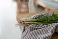 fresh onion on a towel lies on a table