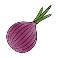 fresh onion vegetarian food