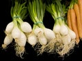 Fresh onions and carrots Royalty Free Stock Photo