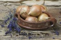 Fresh onions in a clay pot and lavender flowers - wooden background Royalty Free Stock Photo