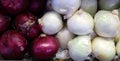 Fresh onions. Colorful Display of white and red Onions Royalty Free Stock Photo