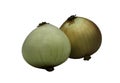 Fresh onions isolated on white background with clipping path Royalty Free Stock Photo