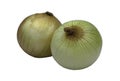 Fresh onions isolated on white background with clipping path Royalty Free Stock Photo