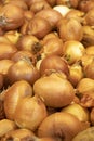 Fresh onions at the super market.