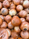 Fresh onions on the market close up photo. Onions big Golden on the counter market Royalty Free Stock Photo