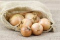 Fresh onions in package Royalty Free Stock Photo