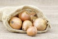 Fresh onions in package Royalty Free Stock Photo