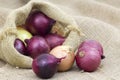 Fresh onions in package Royalty Free Stock Photo