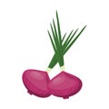 Fresh onions vegetables cartoon Royalty Free Stock Photo