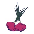 Fresh onions vegetables cartoon Royalty Free Stock Photo