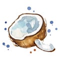 Fresh open coconut watercolor painting