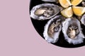 Fresh open oysters with lemon on round black plate pink background. Royalty Free Stock Photo