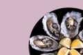 Fresh open oysters with lemon on round black plate pink background. Royalty Free Stock Photo