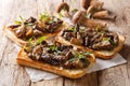 Fresh open sandwiches with fried forest mushrooms, onions, thyme and parmesan cheese closeup. horizontal