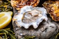 Fresh open zeeuwse creuse pacific or japanese oysters molluscs on fish market in Netherlands