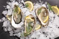 Fresh opened oyster Royalty Free Stock Photo