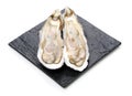 Fresh opened oyster Royalty Free Stock Photo