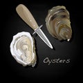 Fresh oyster image set