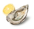 Fresh opened oyster Royalty Free Stock Photo