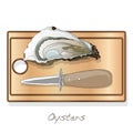 Fresh opened oyster vectorv images set on plate / dish isolated on white background Royalty Free Stock Photo