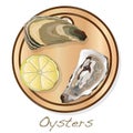 Fresh opened oyster vectorv images set on plate / dish isolated on white background