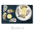 Fresh opened oyster vectorv images set on plate / dish isolated on white background