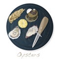 Fresh opened oyster vector images set on plate / dish isolated on white background Royalty Free Stock Photo
