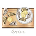Fresh opened oyster vector images set on plate / dish isolated on white background Royalty Free Stock Photo