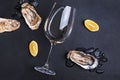 Fresh opened oysters, ice, lemon and a glass of white wine Royalty Free Stock Photo