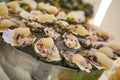 Fresh Opened Oysters Royalty Free Stock Photo