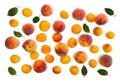 Fresh orange apricots, peaches fruits and green leaves on white background. Top view, flat lay Royalty Free Stock Photo