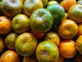 Fresh orange , background orange Royalty Free Stock Photo