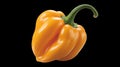 Fresh Orange Bell Pepper with Smooth Glossy Surface Royalty Free Stock Photo