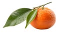 A fresh orange with a bright, textured peel, isolated on white background