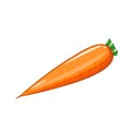 Fresh orange carrot icon isolated on white background. Royalty Free Stock Photo