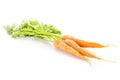 Fresh orange carrot isolated on white Royalty Free Stock Photo