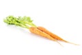 Fresh orange carrot isolated on white Royalty Free Stock Photo