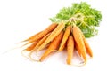 Fresh orange carrot isolated on white Royalty Free Stock Photo