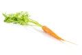 Fresh orange carrot isolated on white Royalty Free Stock Photo