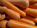 Fresh orange carrots. Organic vegetarian concept.